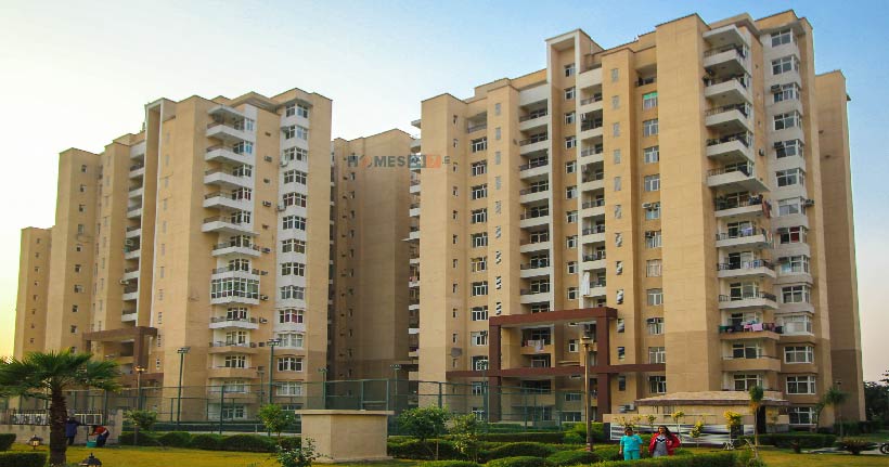 Omaxe Palm Greens Cover image